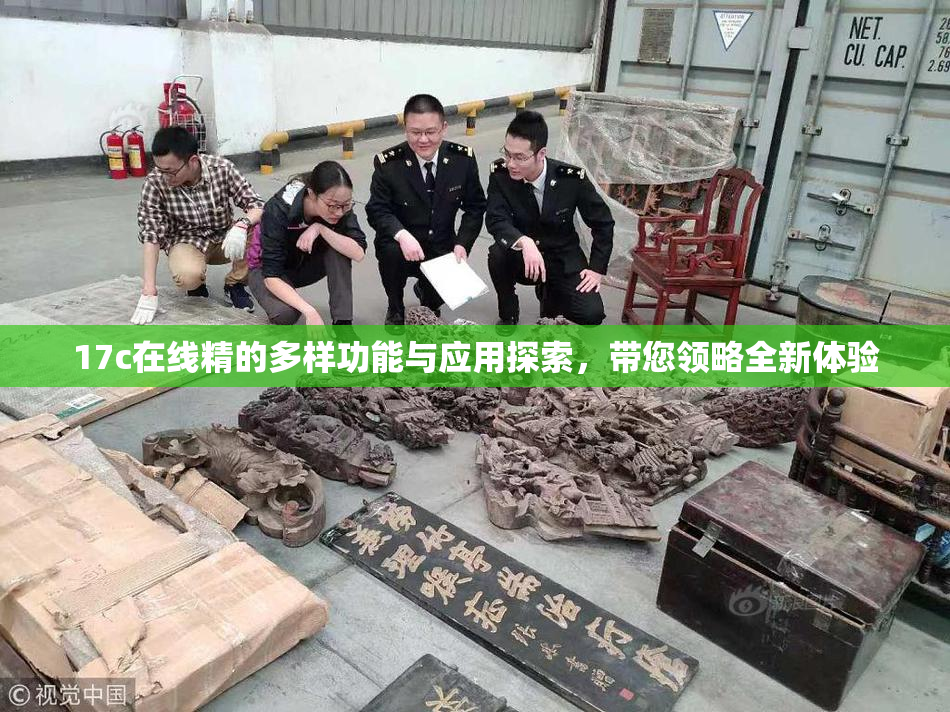 17c在线精的多样功能与应用探索，带您领略全新体验