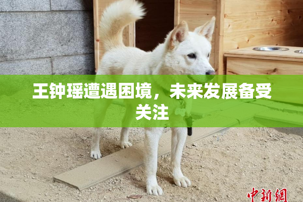 王钟瑶遭遇困境，未来发展备受关注
