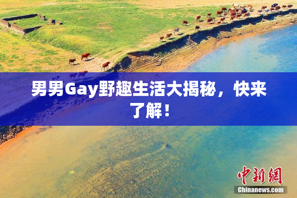 男男Gay野趣生活大揭秘，快来了解！