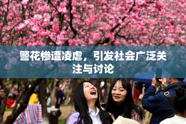 警花惨遭凌虐，引发社会广泛关注与讨论