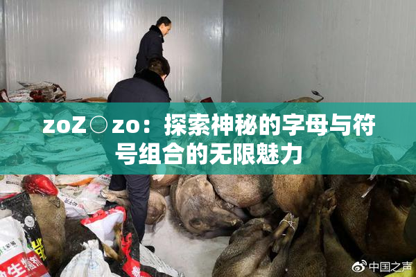 zoZ○zo：探索神秘的字母与符号组合的无限魅力