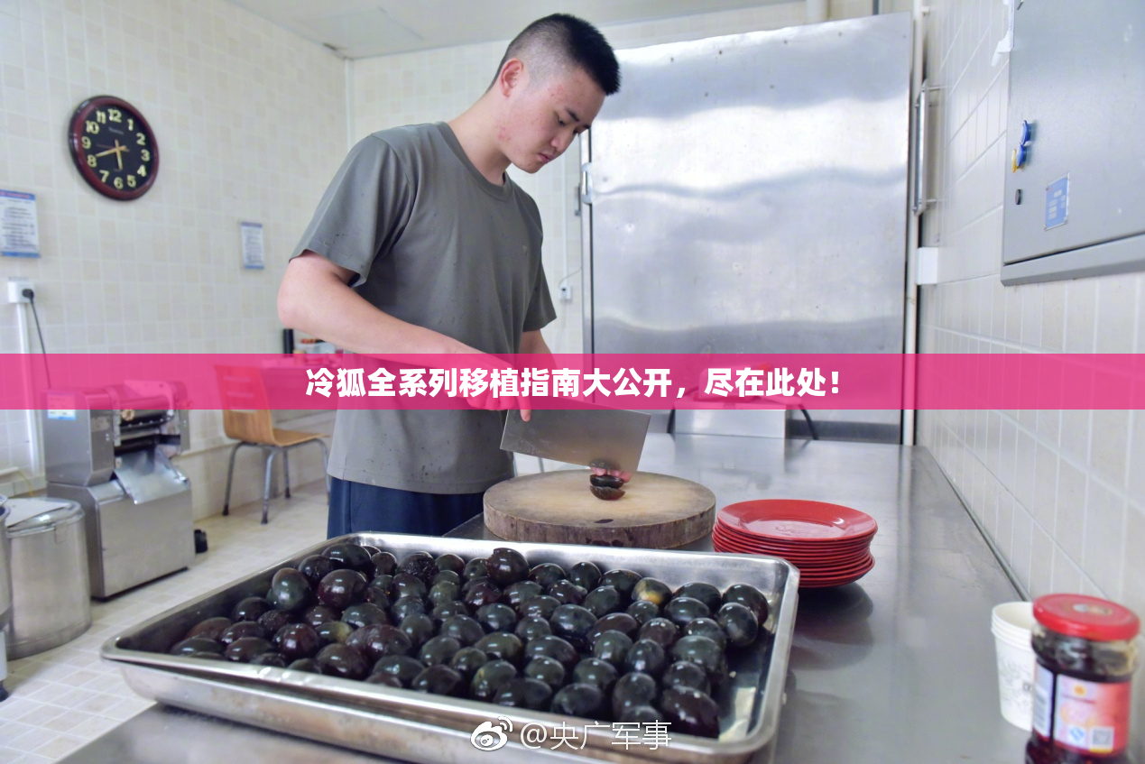 冷狐全系列移植指南大公开，尽在此处！