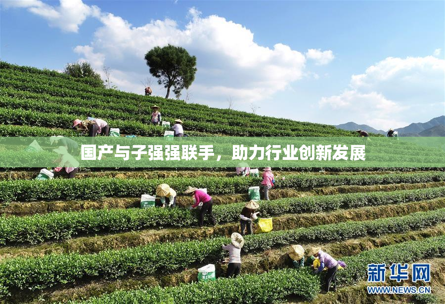 国产与子强强联手，助力行业创新发展