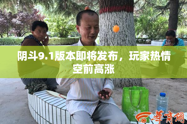 阴斗9.1版本即将发布，玩家热情空前高涨