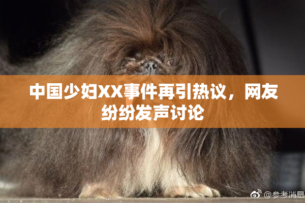 中国少妇XX事件再引热议，网友纷纷发声讨论