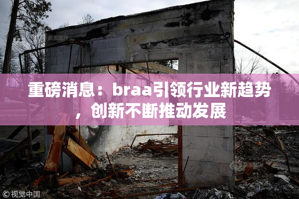 重磅消息：braa引领行业新趋势，创新不断推动发展
