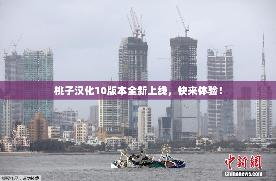 桃子汉化10版本全新上线，快来体验！