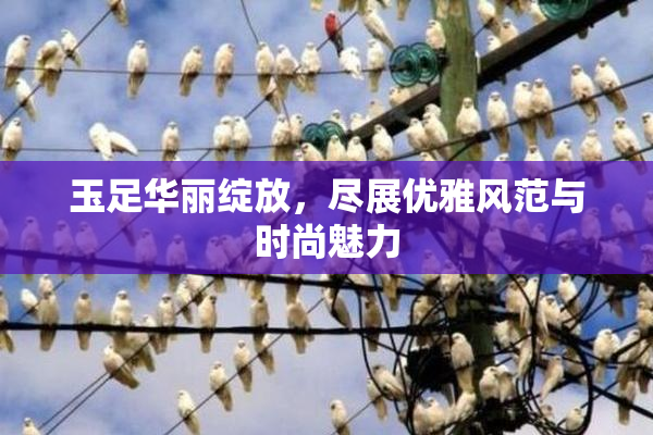 玉足华丽绽放，尽展优雅风范与时尚魅力