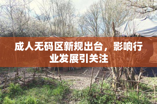 成人无码区新规出台，影响行业发展引关注
