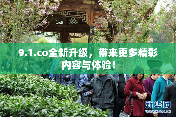 9.1.co全新升级，带来更多精彩内容与体验！