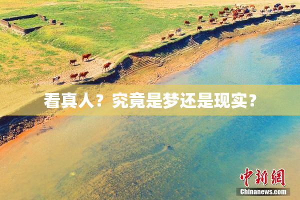 看真人？究竟是梦还是现实？