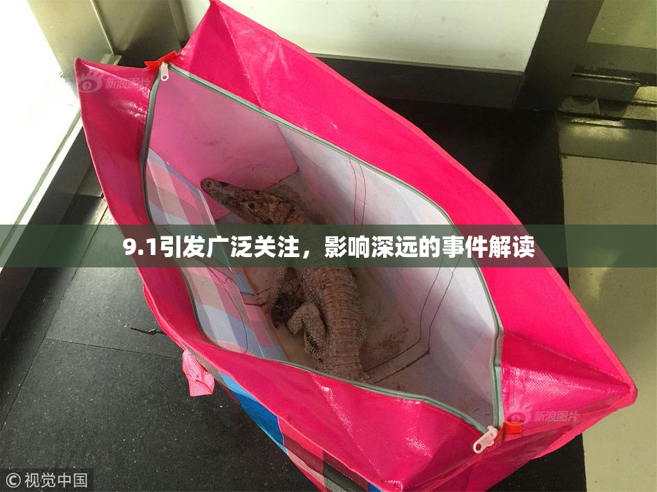 9.1引发广泛关注，影响深远的事件解读
