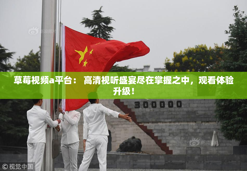 草莓视频a平台： 高清视听盛宴尽在掌握之中，观看体验升级！