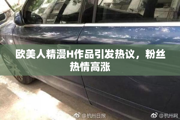 欧美人精漫H作品引发热议，粉丝热情高涨