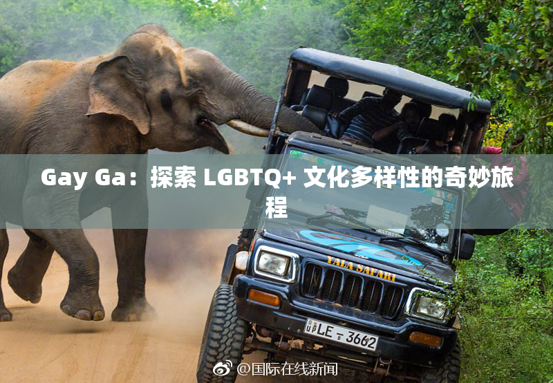 Gay Ga：探索 LGBTQ+ 文化多样性的奇妙旅程
