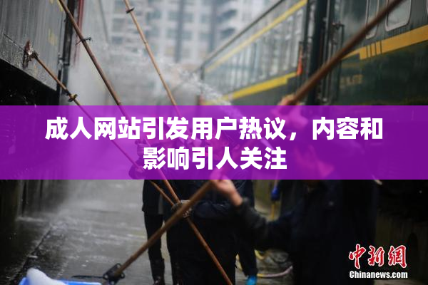 成人网站引发用户热议，内容和影响引人关注