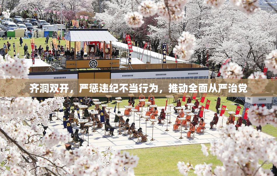 齐洞双开，严惩违纪不当行为，推动全面从严治党