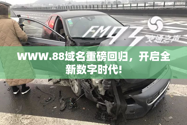 WWW.88域名重磅回归，开启全新数字时代!