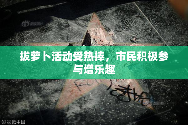 拔萝卜活动受热捧，市民积极参与增乐趣