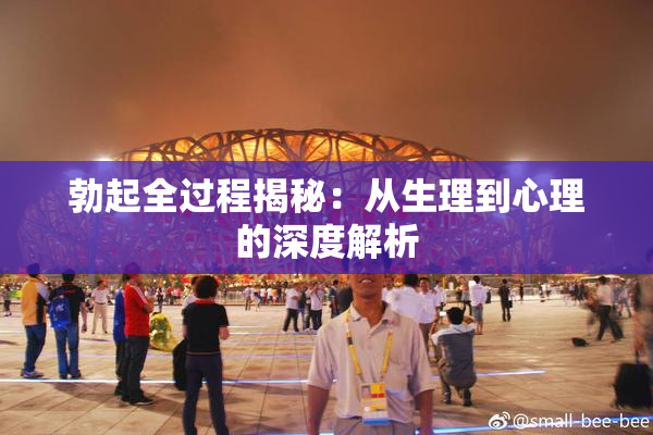 勃起全过程揭秘：从生理到心理的深度解析