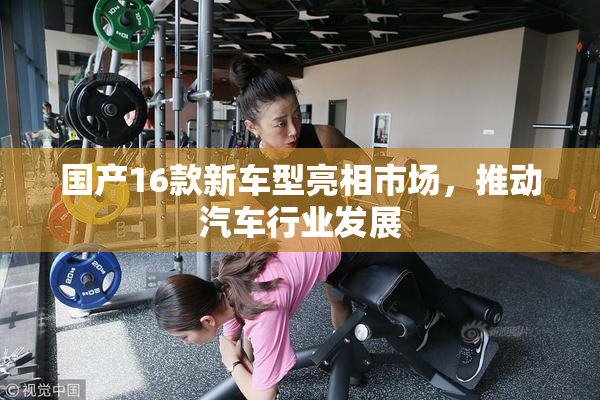 国产16款新车型亮相市场，推动汽车行业发展