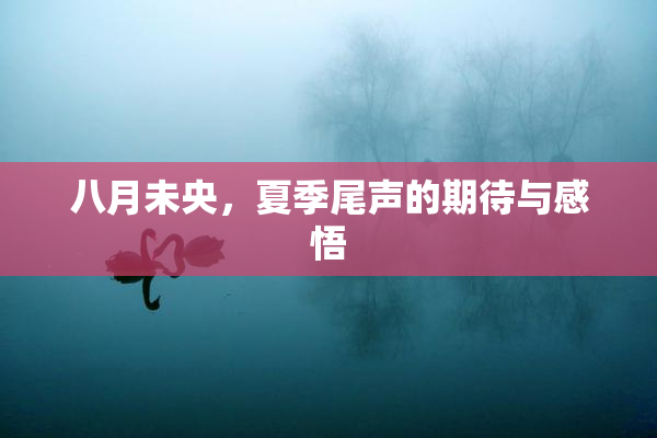 八月未央，夏季尾声的期待与感悟