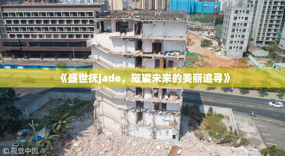 《盛世抚jade，璀璨未来的美丽追寻》
