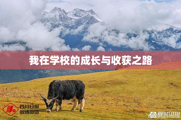 我在学校的成长与收获之路