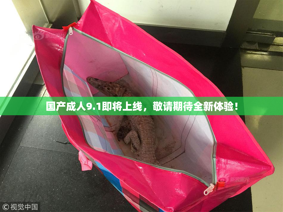 国产成人9.1即将上线，敬请期待全新体验！