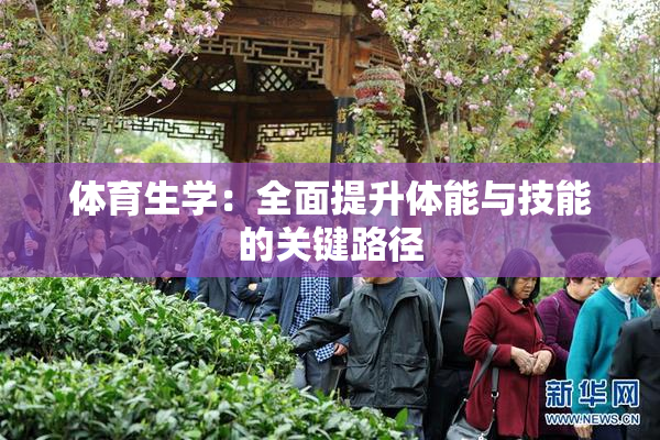 体育生学：全面提升体能与技能的关键路径