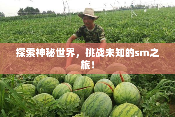 探索神秘世界，挑战未知的sm之旅！