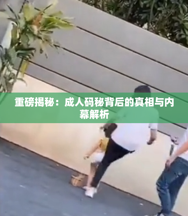重磅揭秘：成人码秘背后的真相与内幕解析