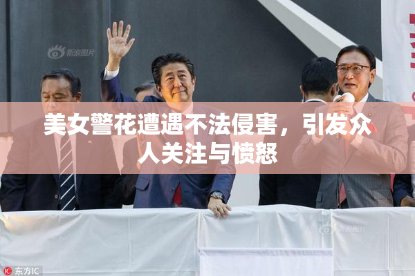美女警花遭遇不法侵害，引发众人关注与愤怒