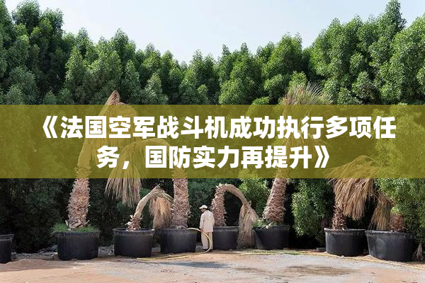 《法国空军战斗机成功执行多项任务，国防实力再提升》