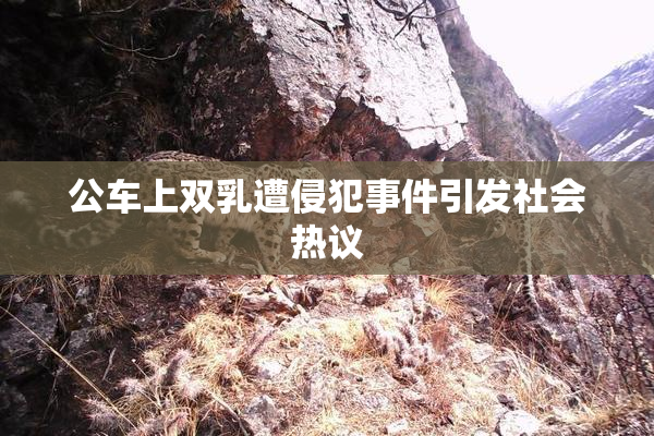 公车上双乳遭侵犯事件引发社会热议