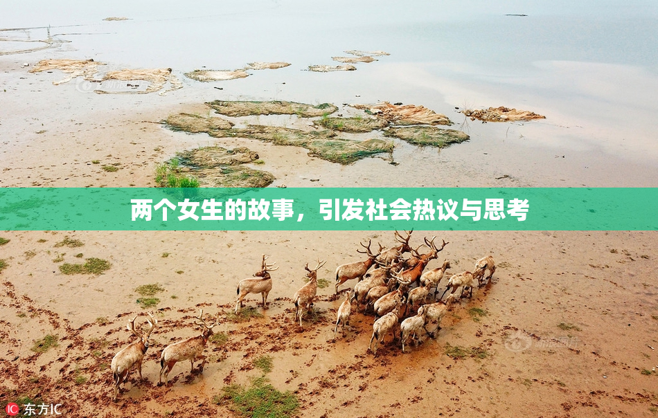 两个女生的故事，引发社会热议与思考