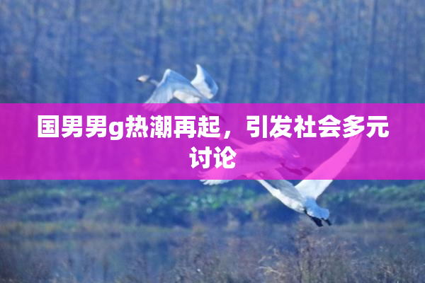 国男男g热潮再起，引发社会多元讨论