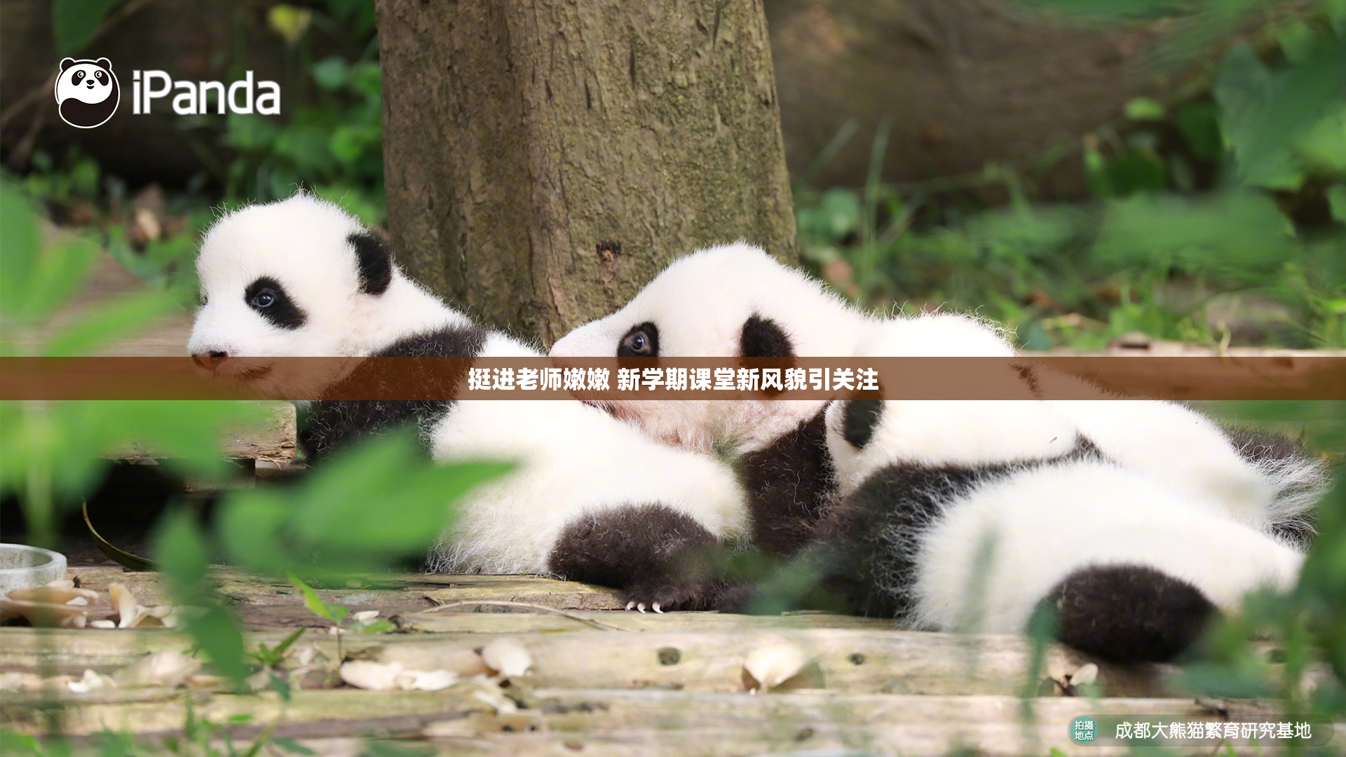 挺进老师嫩嫩 新学期课堂新风貌引关注
