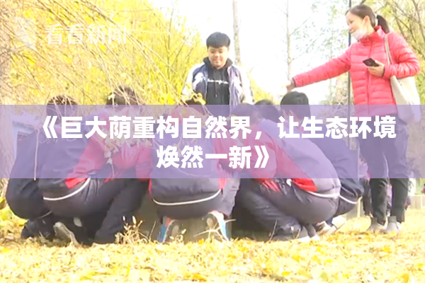 《巨大荫重构自然界，让生态环境焕然一新》
