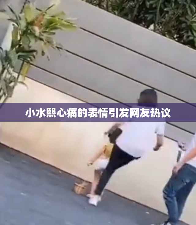 小水熙心痛的表情引发网友热议