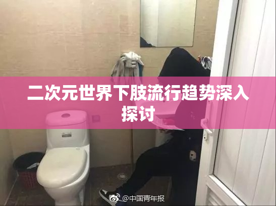 二次元世界下肢流行趋势深入探讨