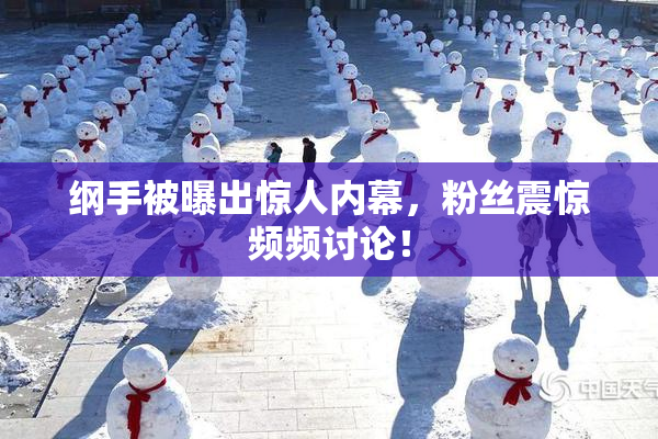 纲手被曝出惊人内幕，粉丝震惊频频讨论！