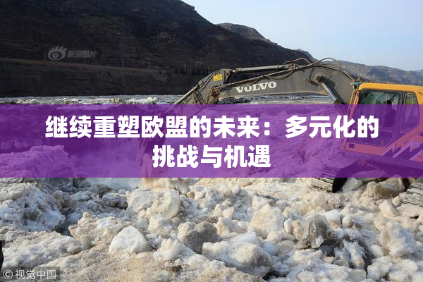 继续重塑欧盟的未来：多元化的挑战与机遇