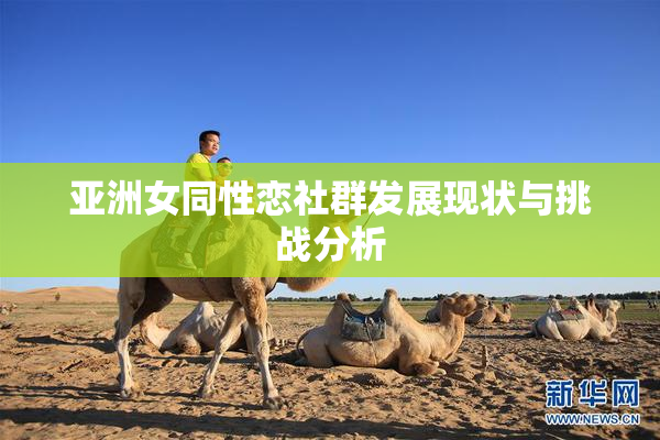 亚洲女同性恋社群发展现状与挑战分析
