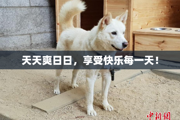 天天爽日日，享受快乐每一天！