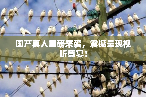 国产真人重磅来袭，震撼呈现视听盛宴！