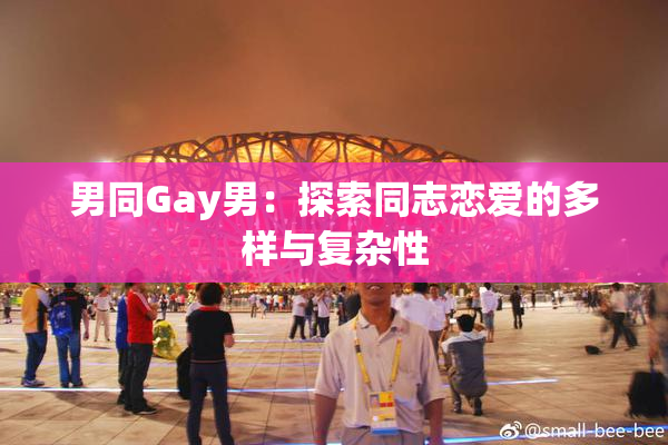 男同Gay男：探索同志恋爱的多样与复杂性