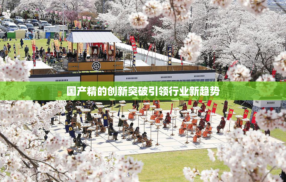 国产精的创新突破引领行业新趋势