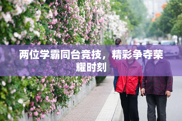 两位学霸同台竞技，精彩争夺荣耀时刻