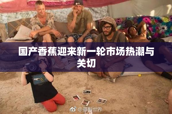 国产香蕉迎来新一轮市场热潮与关切